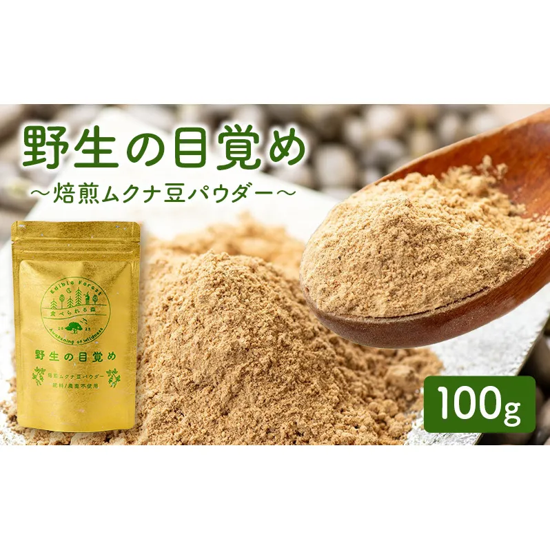 野生の目覚め～焙煎ムクナ豆パウダー～