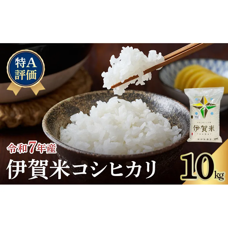【特A評価】令和7年産 伊賀米コシヒカリ10kg（精米）　お米 米 白米 こしひかり ごはん 三重県 名張市