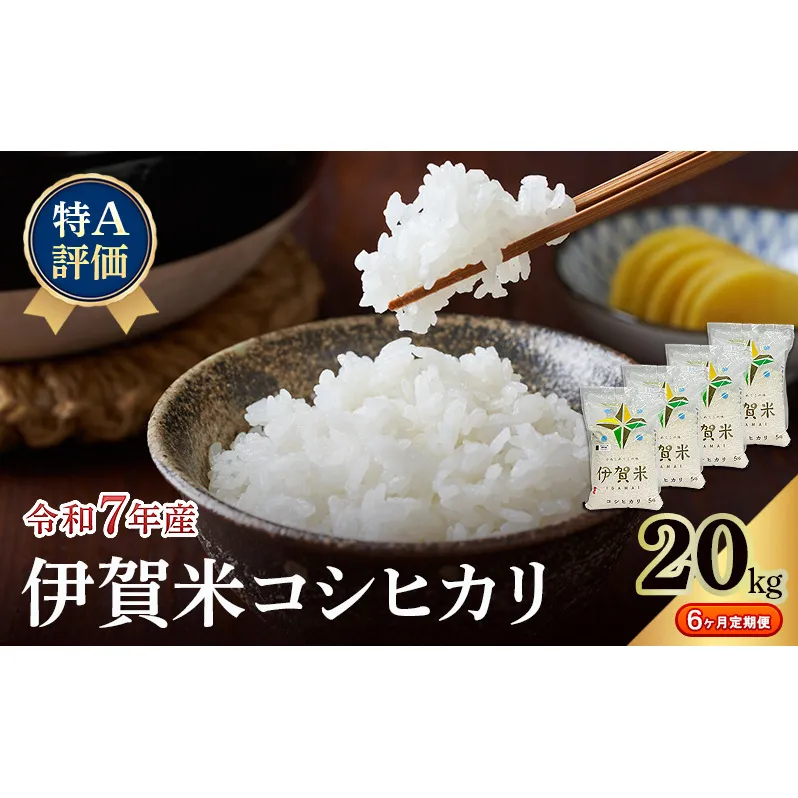 【特A評価・6ヶ月定期便】令和7年産 伊賀米コシヒカリ20kg（精米）　お米 米 白米 こしひかり ごはん 三重県 名張市