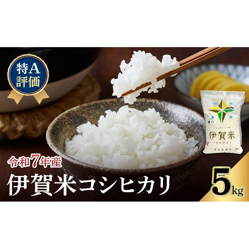 【特A評価】令和7年産 伊賀米コシヒカリ5kg（精米）　お米 米 白米 こしひかり ごはん 三重県 名張市