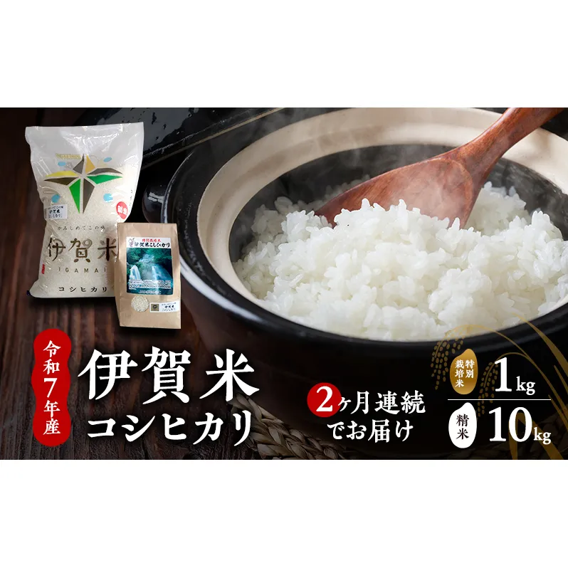【精米】令和7年産　伊賀米コシヒカリ　10kg+特別米1kg（２ヶ月連続）　お米 米 白米 こしひかり ごはん 三重県 名張市