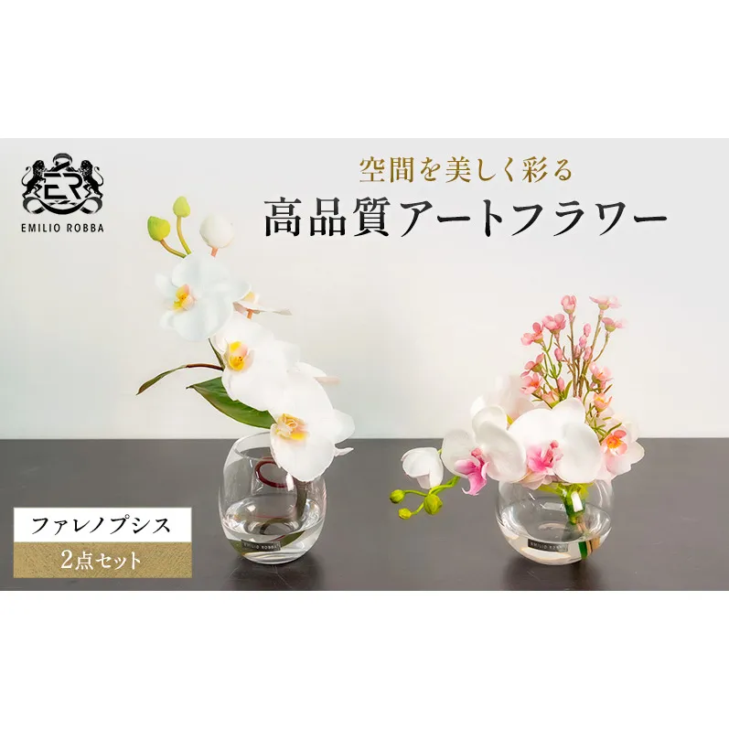 エミリオロバ　ファレノプシス2点セット
