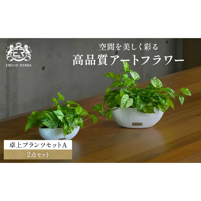 エミリオロバ 卓上プランツAセット