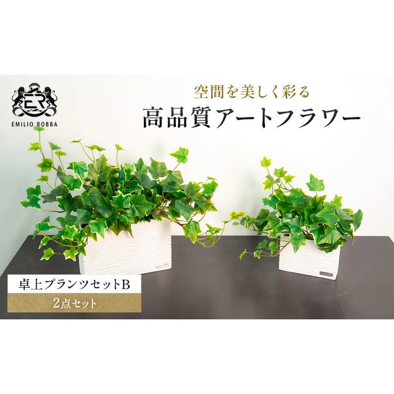 エミリオロバ 卓上プランツBセット