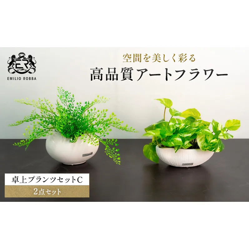 エミリオロバ　卓上プランツセットＣ