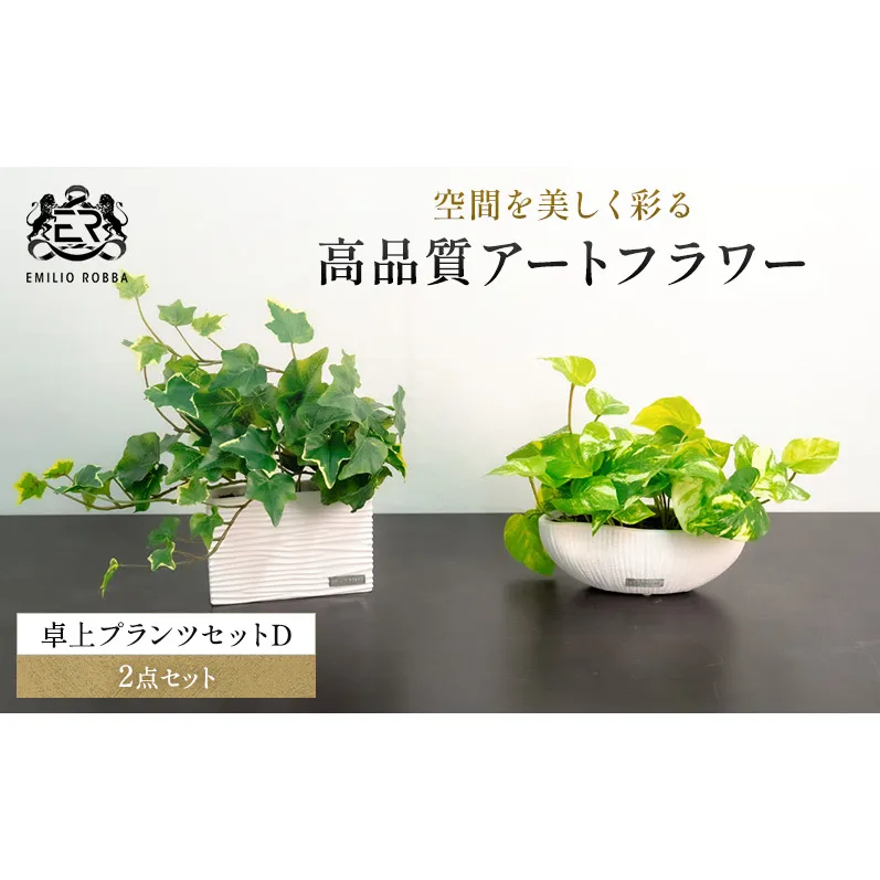エミリオロバ　卓上プランツセットＤ
