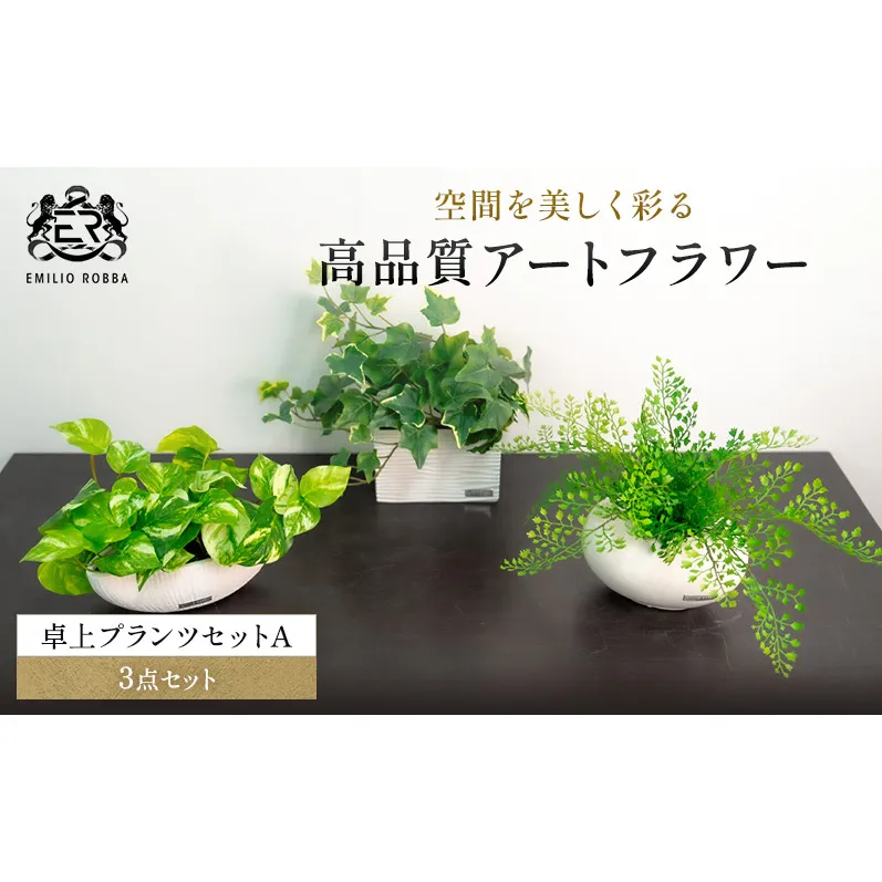 エミリオロバ　卓上プランツ3点セットA
