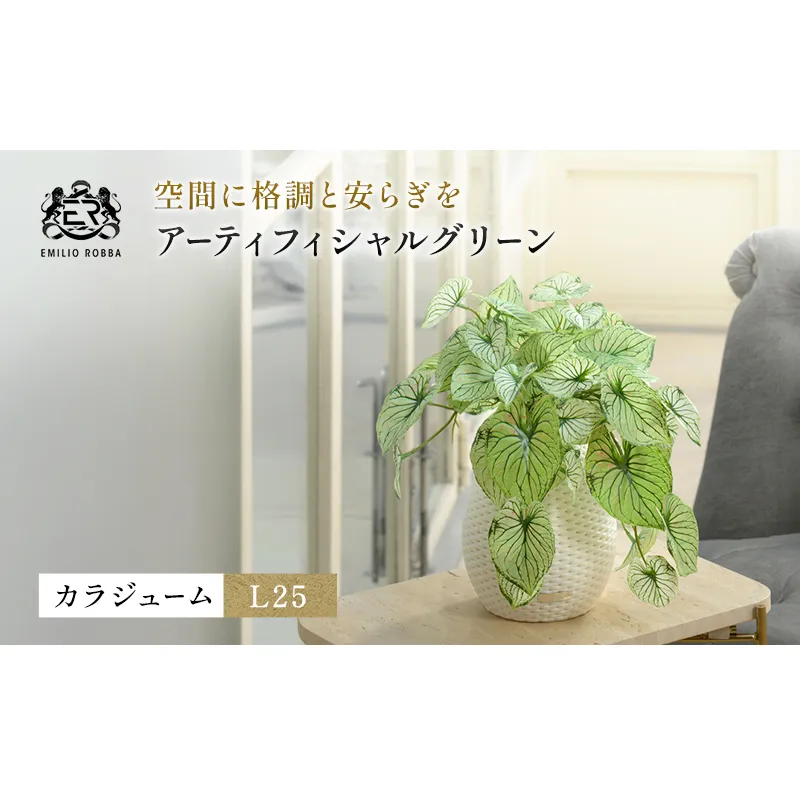 カラジュームL25 TUTEB-37200