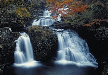 (2)住環境をととのえ、生活環境をまもります。