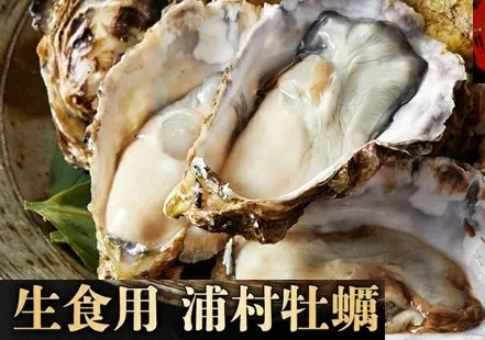 I-55生食用浦村牡蠣１５個入りセット