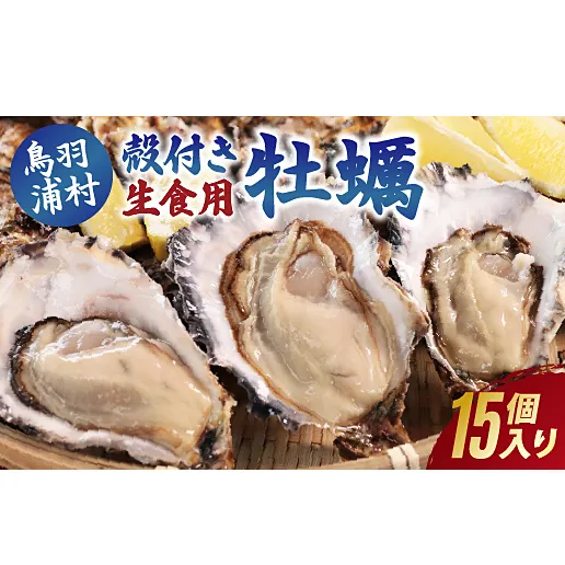 【先行予約/2026年12月より順次発送】I-55生食用浦村牡蠣15個入りセット
