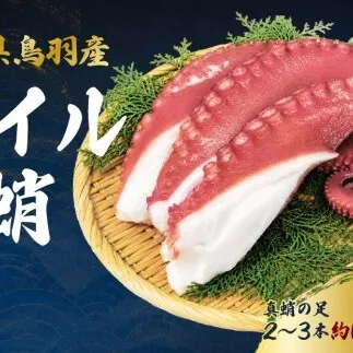 20-87ボイルタコ足（冷凍）