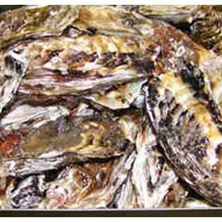 I-56そのまま焼き牡蠣セット