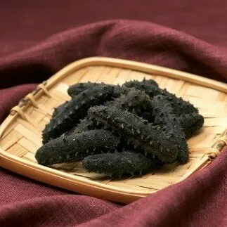 Q-19乾燥なまこ（干しなまこ）特級品