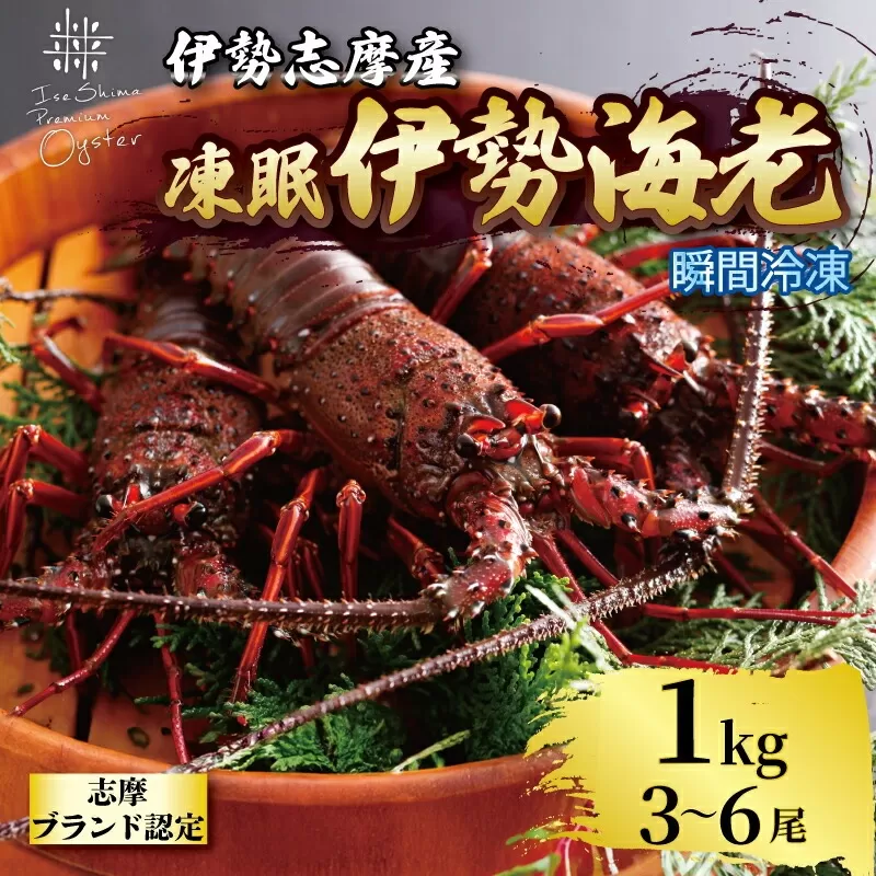 伊勢海老 1kg 3尾 ～ 6尾 冷凍 / 伊勢志摩 伊勢 志摩 三重 伊勢えび 伊勢エビ 新鮮 えび エビ 三重ブランド認定 高級食材 贈答 贈答品 お歳暮 お正月 年末年始 お造り 海鮮 魚介類 旨味 鮮魚 名産 ギフト いせ しま BBQ パーティー 焼き物 お味噌汁 鍋 ボイル 六万円 6万円 60000円