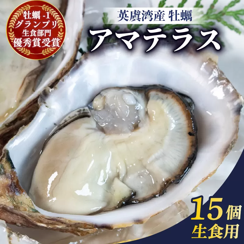 英虞湾産 シングルシードオイスター 「アマテラス」15個 / 牡蠣 カキ 生牡蠣 オイスター 生食 殻付き ナイフ付き 産地直送 海鮮 海産物 魚貝類 新鮮 シングルシード 伊勢 志摩 三重県 10000円 1万円 一万円