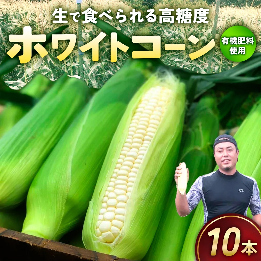 TZM‐01　有機肥料で土づくり　高い糖度が自慢のホワイトコーン　10本（約6kg）