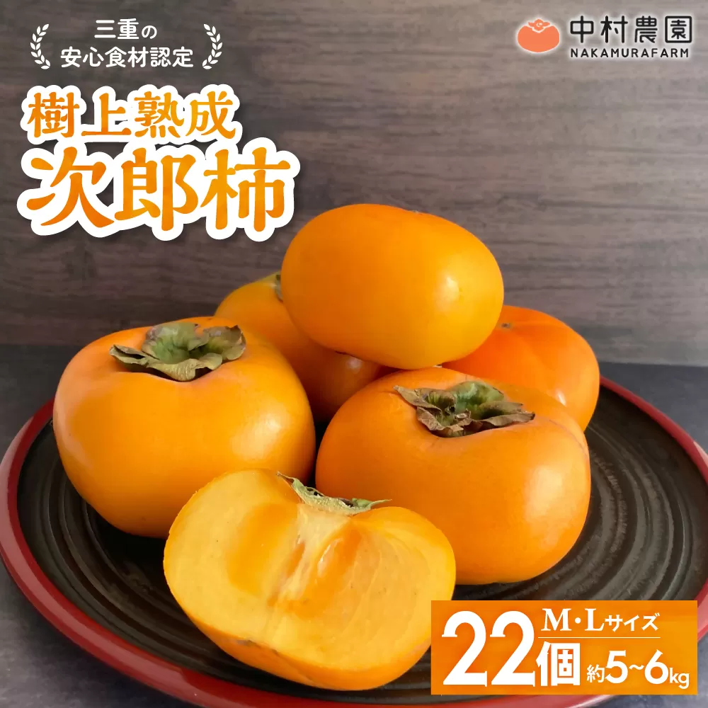 【先行予約・2025年 秋 発送】三重の安心食材認定！中村農園の次郎柿　NN-03