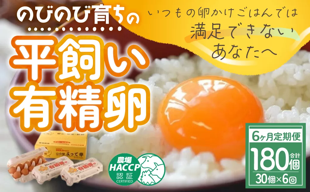 JK-05　【6ヶ月定期便】のびのび育ちの平飼い有精卵（30個×6ヶ月）