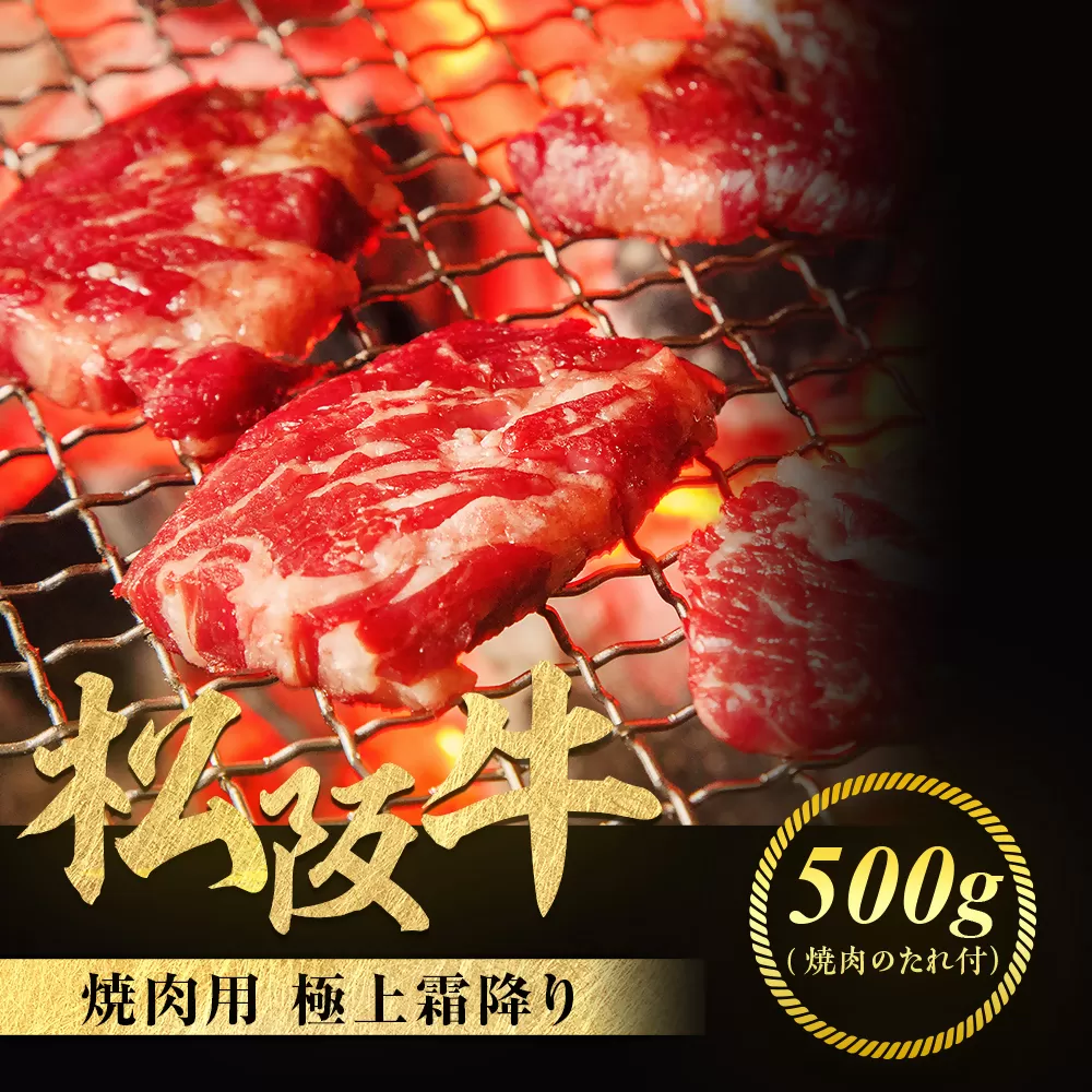 松阪牛 極上霜降り 焼肉用 500g 焼肉のたれ付 極上の柔らかさ 化粧箱入り 柔らかい 松坂牛 松阪肉 高級ブランド牛 イチボ ハネシタ ロース トモサンカク 三角 ミスジ カイノミ 焼き肉 自宅用 贈答品 ギフトA4 A5 特産松阪牛 お歳暮 お中元 牛肉 とろける 和牛 三重県 NTY-10