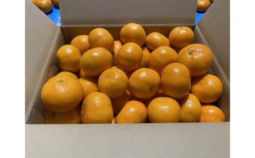 SN-02 三重県多気町産 みかん S～2Lサイズ 5kg｜多気町｜三重県