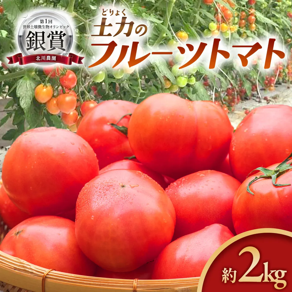 KN-01　2015世界土壌微生物五輪で銀メダル受賞！土力のフルーツトマト