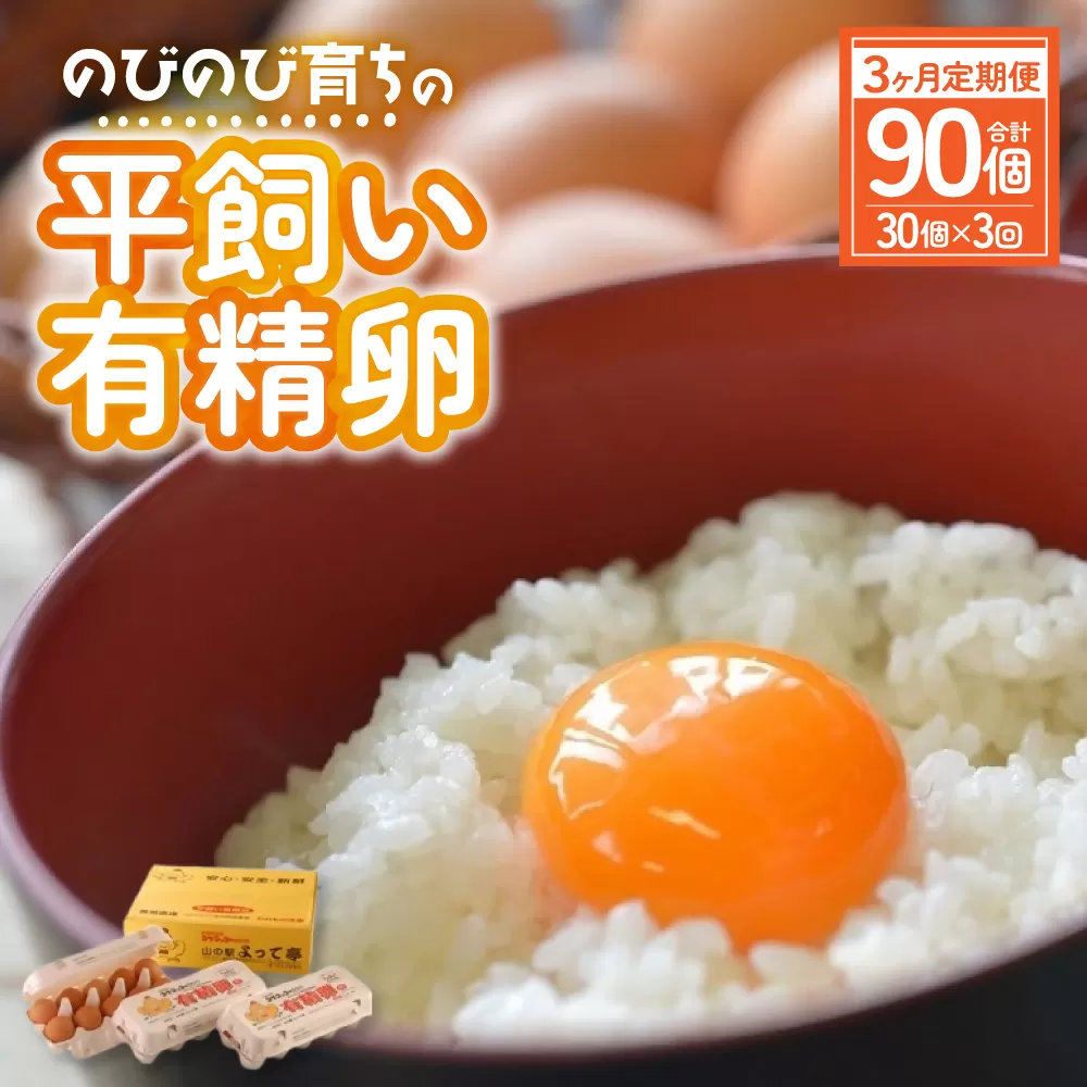 【3ヶ月定期便】計90個 のびのび育ちの平飼い有精卵 30個×3ヶ月 定期 定期便 卵 平飼い 有精卵 たまご 卵 玉子 卵 タマゴ 鶏卵 オムレツ 卵 卵かけご飯 たまご焼き 国産 すき焼き 三重県 多気町 JK-04