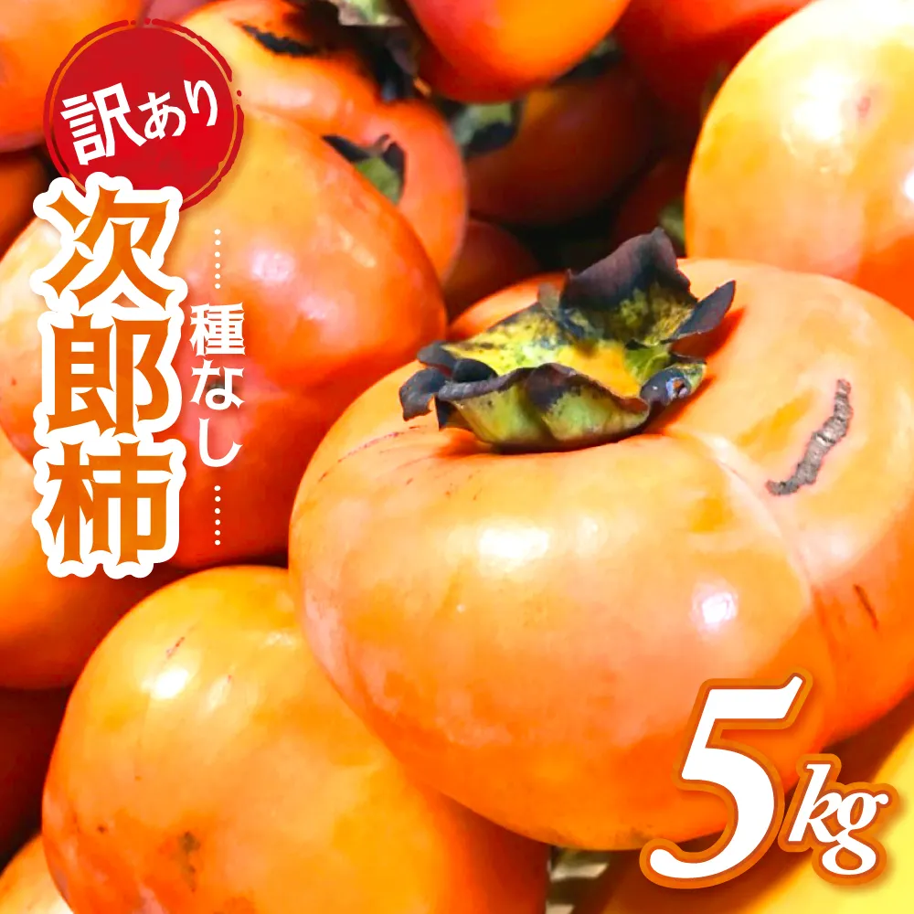 【令和8年産柿】《 訳あり 》5㎏ 次郎柿 たねなし 柿 かき フルーツ 家庭用 訳あり 規格外 わけあり 不揃い ふぞろい 種なし 干し柿  三重県 多気町 GF-17
