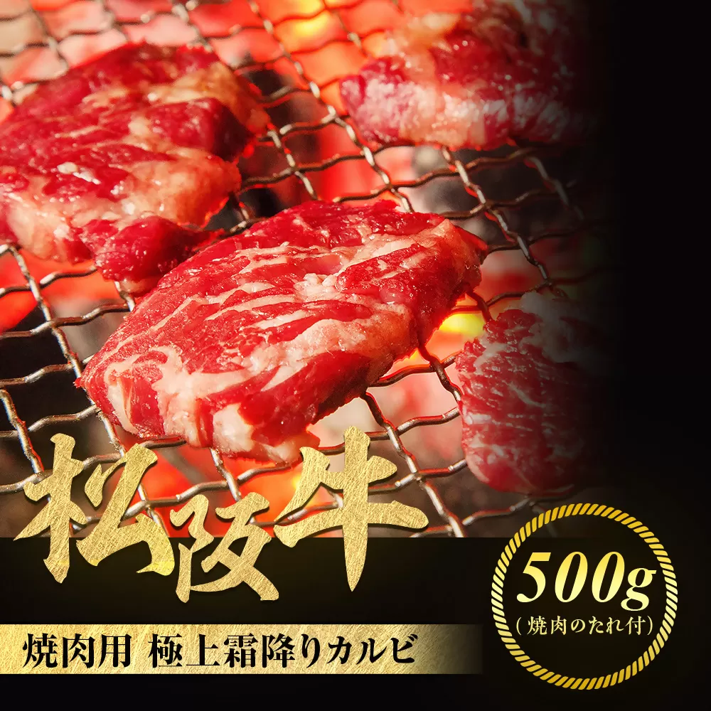 松阪牛 極上霜降り カルビ 焼肉用 500g 焼肉のたれ付 極上の柔らかさ 化粧箱入り 柔らかい 松坂牛 松阪肉 高級ブランド牛 バラ ハネシタ 三角バラ 焼き肉 自宅用 贈答品 ギフトA4 A5 特産松阪牛 お歳暮 お中元 牛肉 とろける 和牛 三重県 NTY-09
