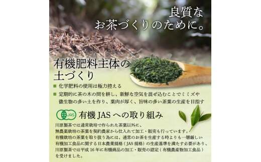 KH-01 伊勢茶一番茶ペットボトル｜多気町｜三重県｜返礼品を