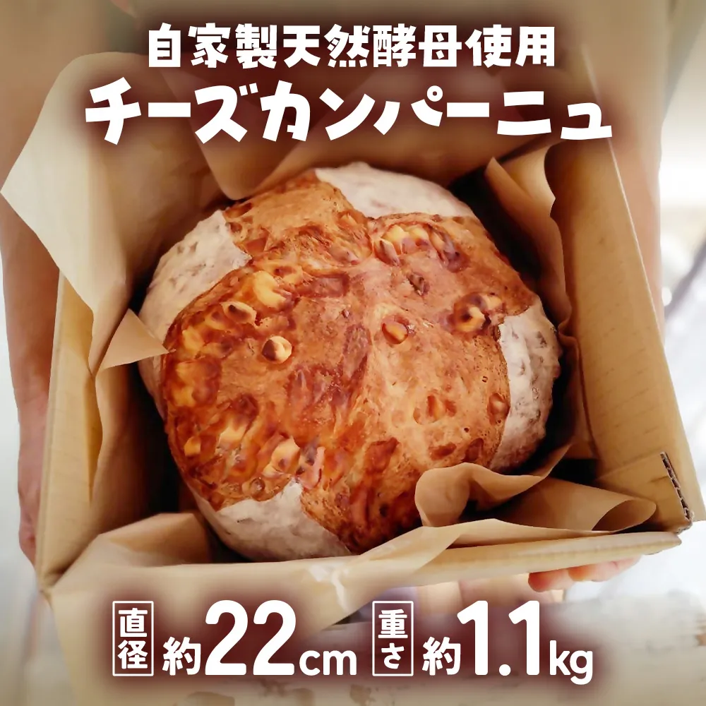 自家製天然酵母を使ったチーズカンパーニュ　【HTR-02】