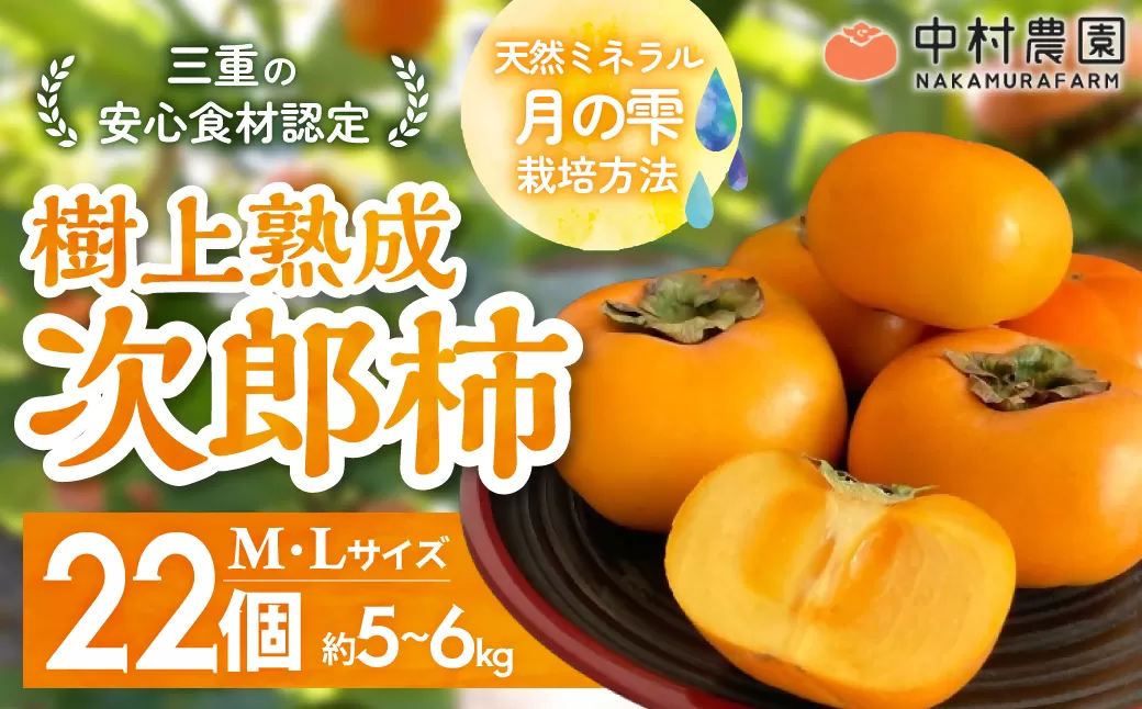 【先行予約・2025年 秋 発送】三重の安心食材認定！中村農園の次郎柿　NN-03