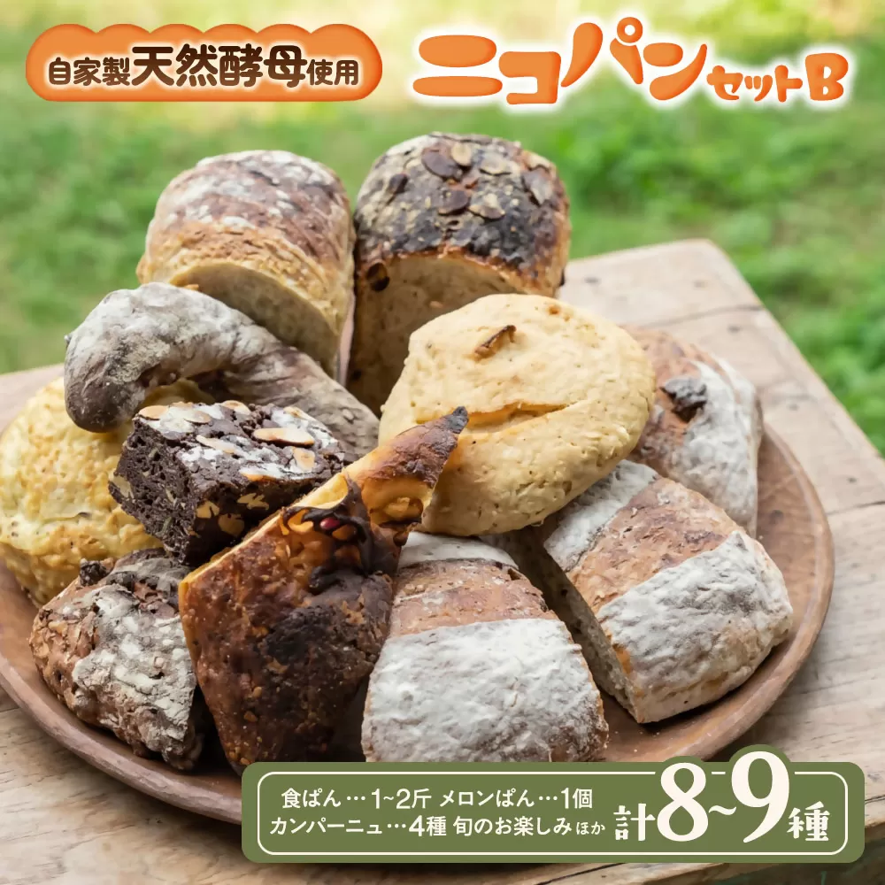NP-02　カラダヨロコブ天然酵母のニコパンセットB
