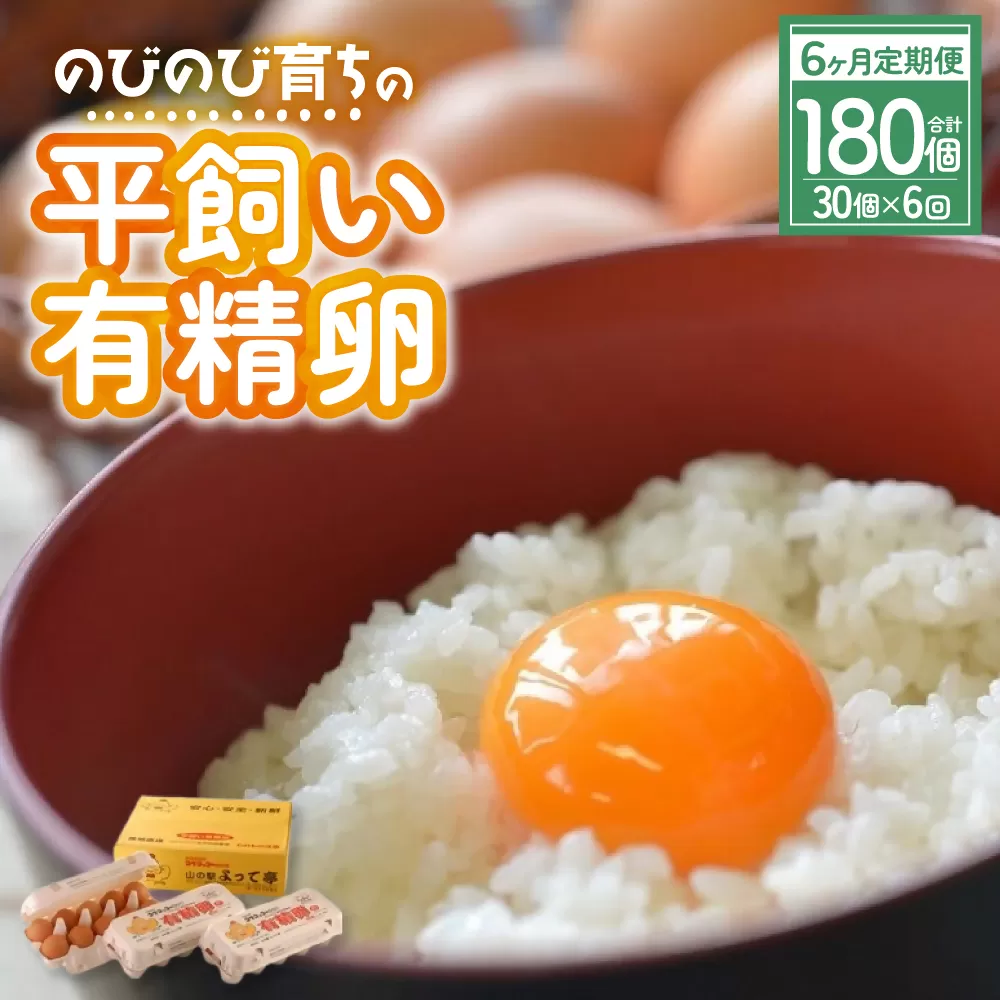 【6ヶ月定期便】計180個 のびのび育ちの平飼い有精卵 30個×6ヶ月 定期 定期便 平飼い 有精卵 たまご 卵 玉子 タマゴ 鶏卵 オムレツ 卵かけご飯 たまご焼き 国産 すき焼き 三重県 多気町 JK-05