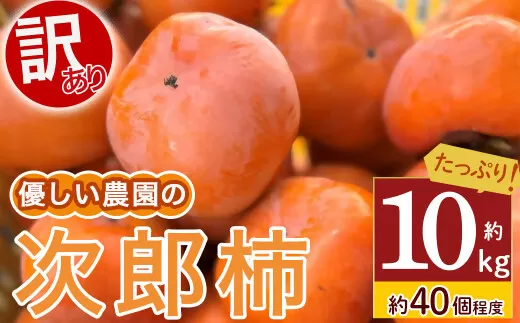 【令和8年産柿/先行予約】優しい農園の訳あり次郎柿 10kg 次郎柿 たねなし 柿 かき フルーツ 家庭用 訳あり 規格外 わけあり 不揃い ふぞろい 種なし 干し柿 先行 先行予約 三重県 多気町 YSN-01