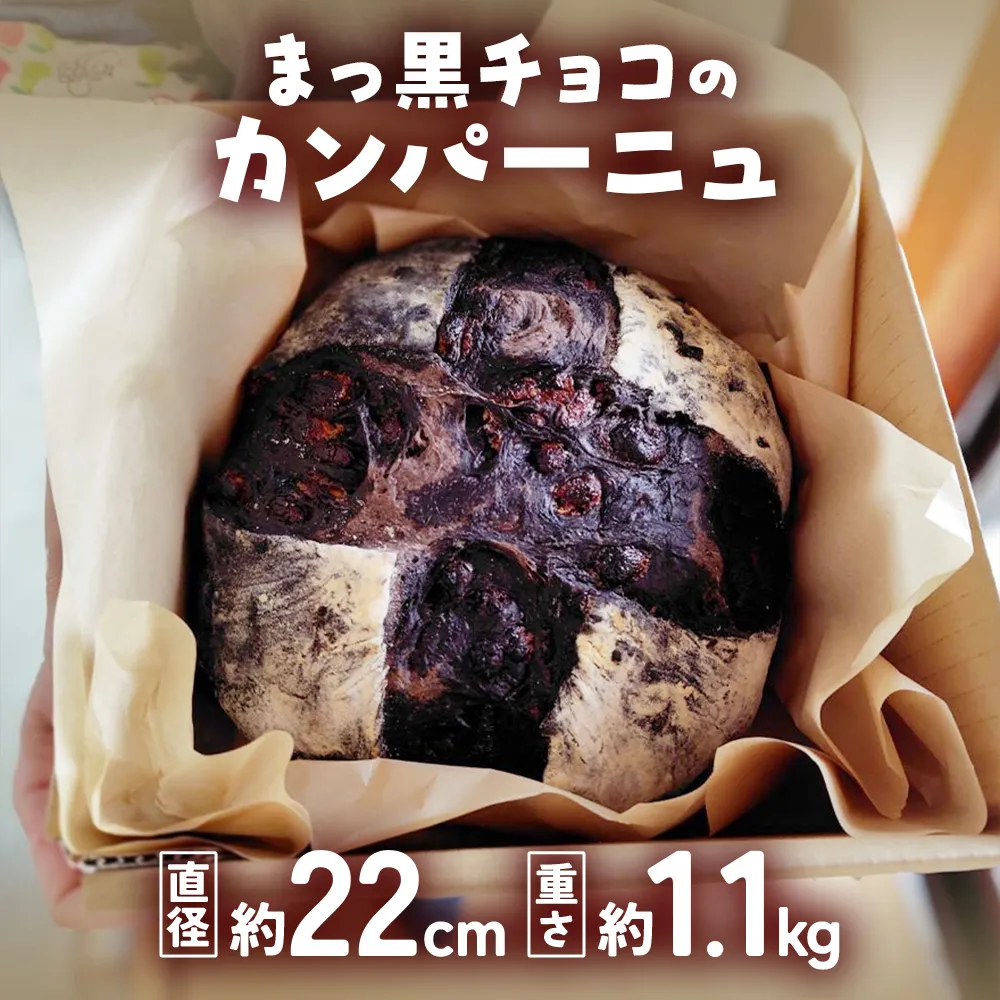 自家製天然酵母を使ったまっ黒チョコのカンパーニュ　【HTR-01】