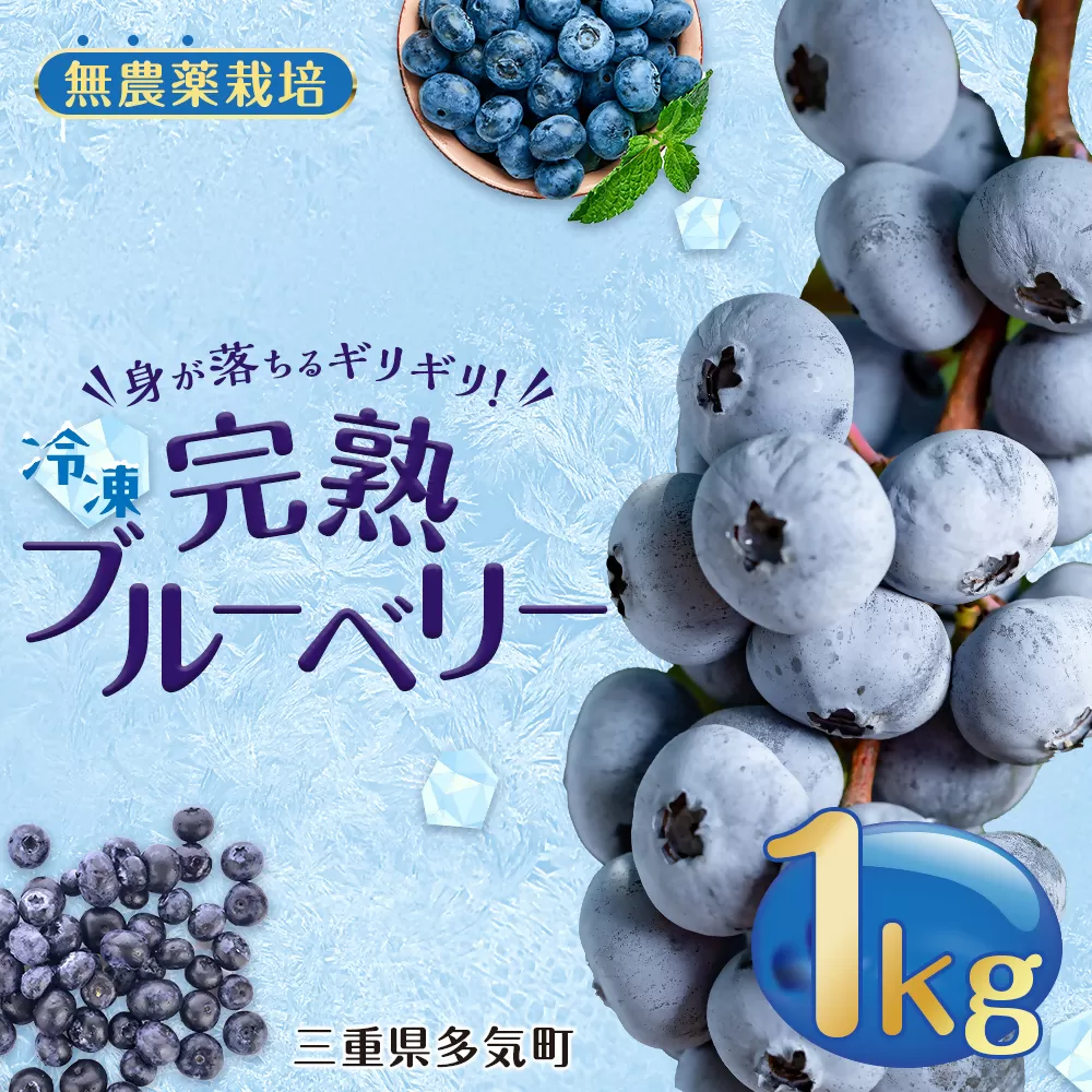 無農薬栽 冷凍完熟ブルーベリー1kg  果物 くだもの フルーツ 完熟 冷凍 ブルーベリー ジャム ピューレー スムージー シロップ 国産 農薬無使用 おいしい ビタミン 食物繊維 ミネラル 三重県 多気町 FR-01