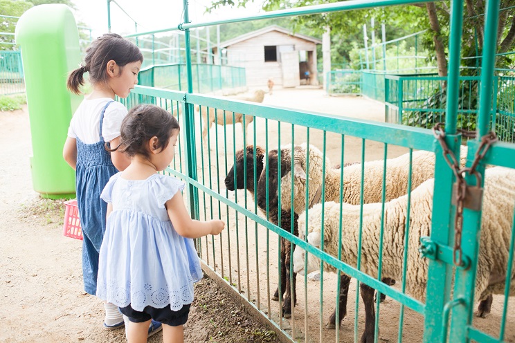 子どもたちの笑顔があふれ、未来につながる生物多様性の動物園再生プロジェクト