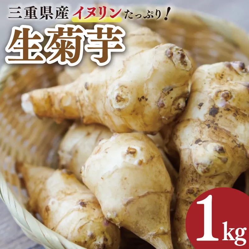 生 菊芋 1kg イヌリン 国産 いも イモ 芋 菊芋茶 菊芋チップス SDGs エコ サスティナブル 生菊芋 素揚げ 野菜