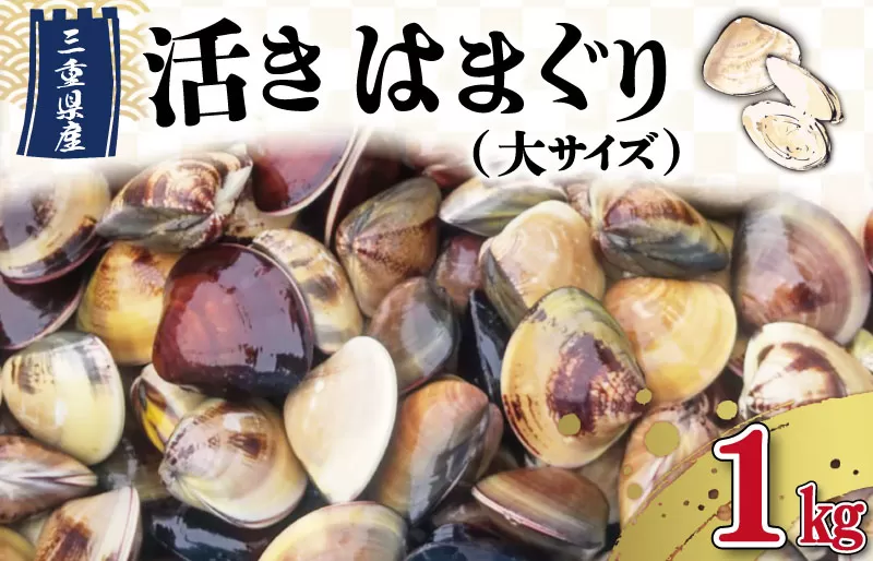 三重県産 活きはまぐり 大サイズ １kg 【しもい水産】はまぐり ハマグリ 天然はまぐり 活はまぐり 天然 砂抜き ふるさと納税 ふるさと 人気 網焼き 酒蒸し お吸い物 バーベキュー BBQ  sm3