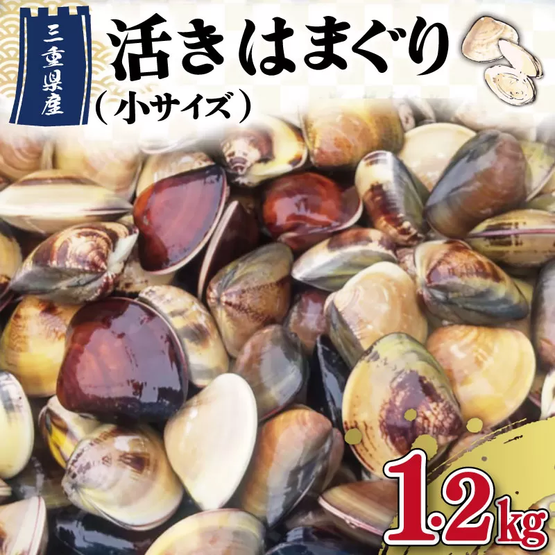 【しもい水産】三重県産 活きはまぐり 小サイズ 1.2kg はまぐり ハマグリ 天然はまぐり 活はまぐり 天然 砂抜き ふるさと納税 ふるさと 人気 網焼き 酒蒸し お吸い物 バーベキュー BBQ