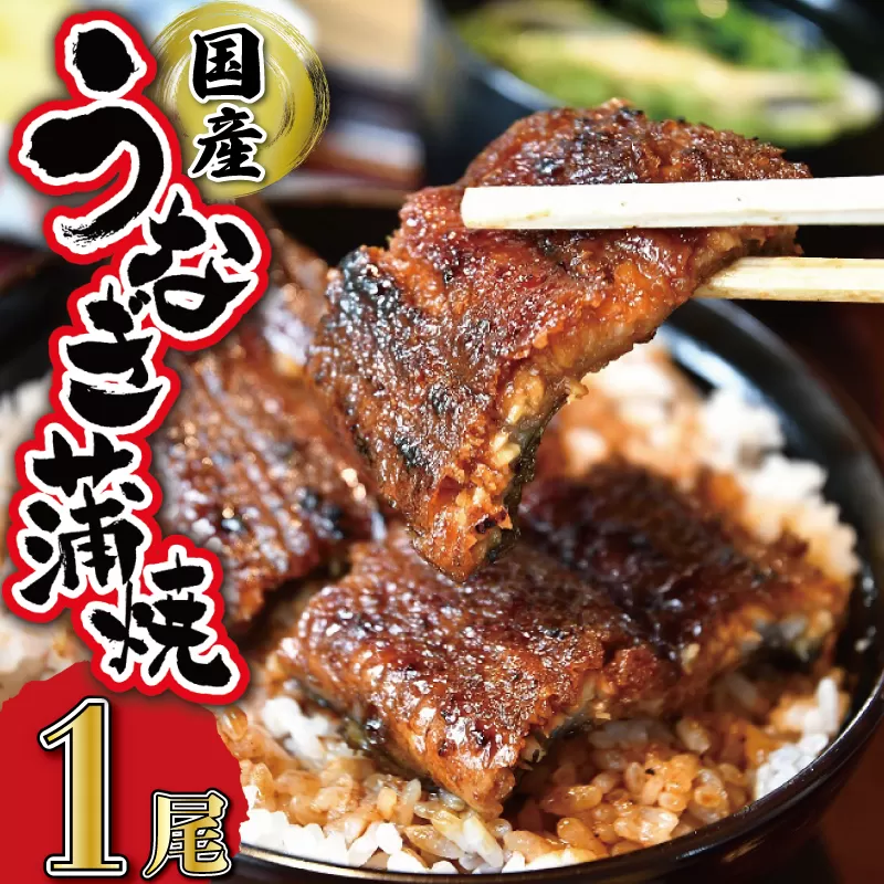 うなぎのかば焼き 1尾入り (タレ2本入り) うな丼 丼 蒲焼 精力 国産 三重 お祝い 特別な日 有名店 行列 職人技 タレ UM1