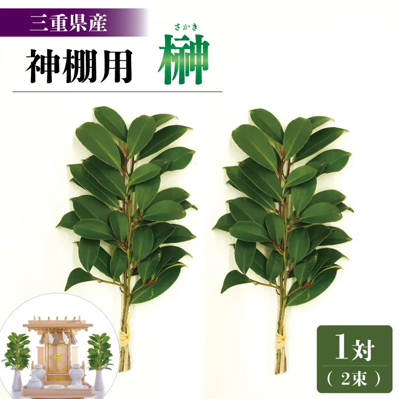 神棚用 榊 1対(2束)約25cm 神棚 さかき お供え 生花 本榊 サカキ 仏花 神具 国産 斎宮の榊 E1442