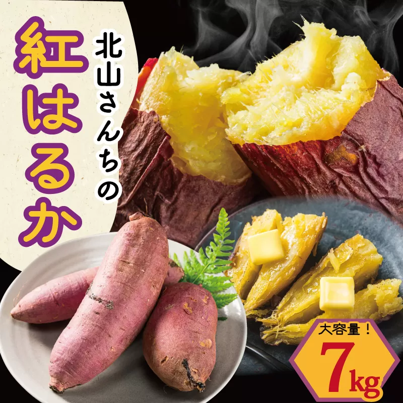 北山さんちのさつまいも 紅はるか 7kgさつまいも サツマイモ 薩摩芋 いも 芋 ほくほく 産地直送 新鮮 野菜 季節の野菜 旬 直送