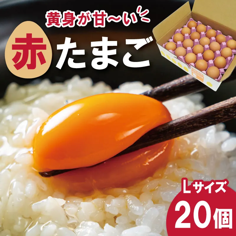 新鮮たまご 赤玉 Lサイズ 20個 明和町 中村養鶏場 卵 たまご 生卵 生たまご 鶏卵 国産 濃厚 ny1