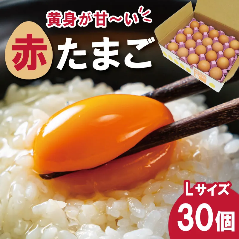 新鮮たまご 赤玉 Lサイズ 30個 明和町 中村養鶏場 卵 たまご 生卵 生たまご 鶏卵 国産 濃厚 ny2