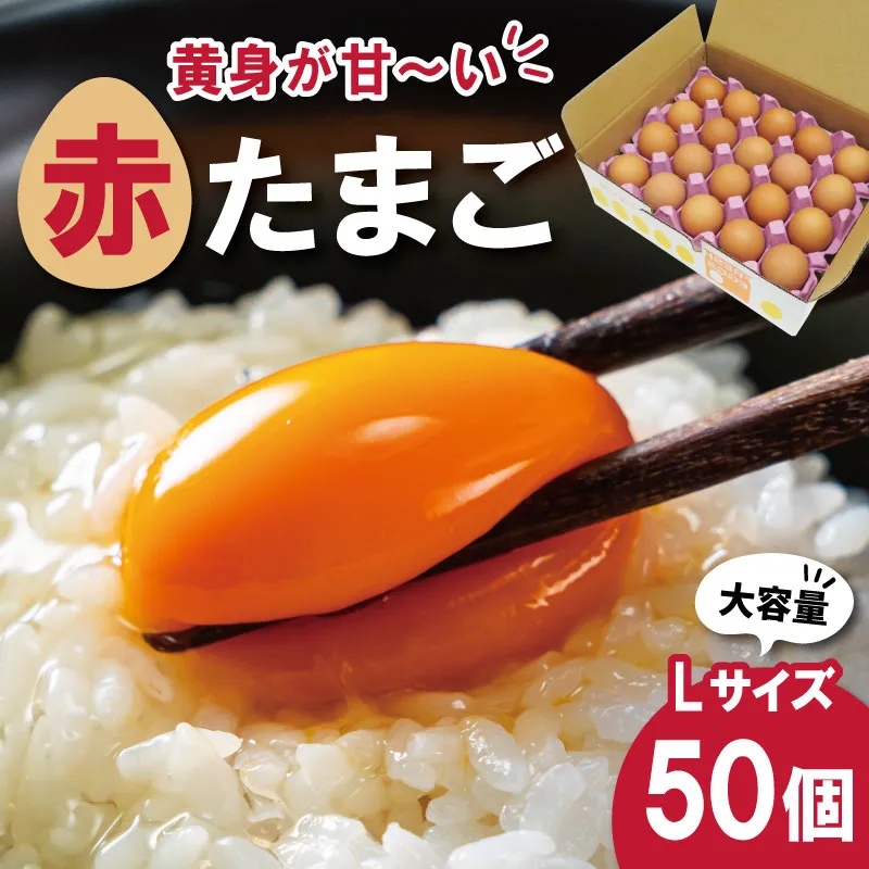新鮮たまご 赤玉 Lサイズ 50個 明和町 中村養鶏場 卵 たまご 生卵 生たまご 鶏卵 国産 濃厚 ny3