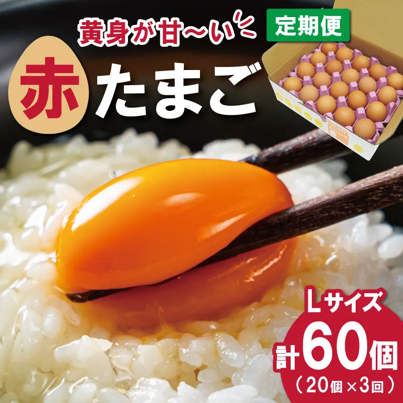 新鮮たまご 赤玉 Lサイズ 20個 3回 【定期便】明和町 中村養鶏場 卵 たまご 生卵 生たまご 鶏卵 国産 濃厚 ny4