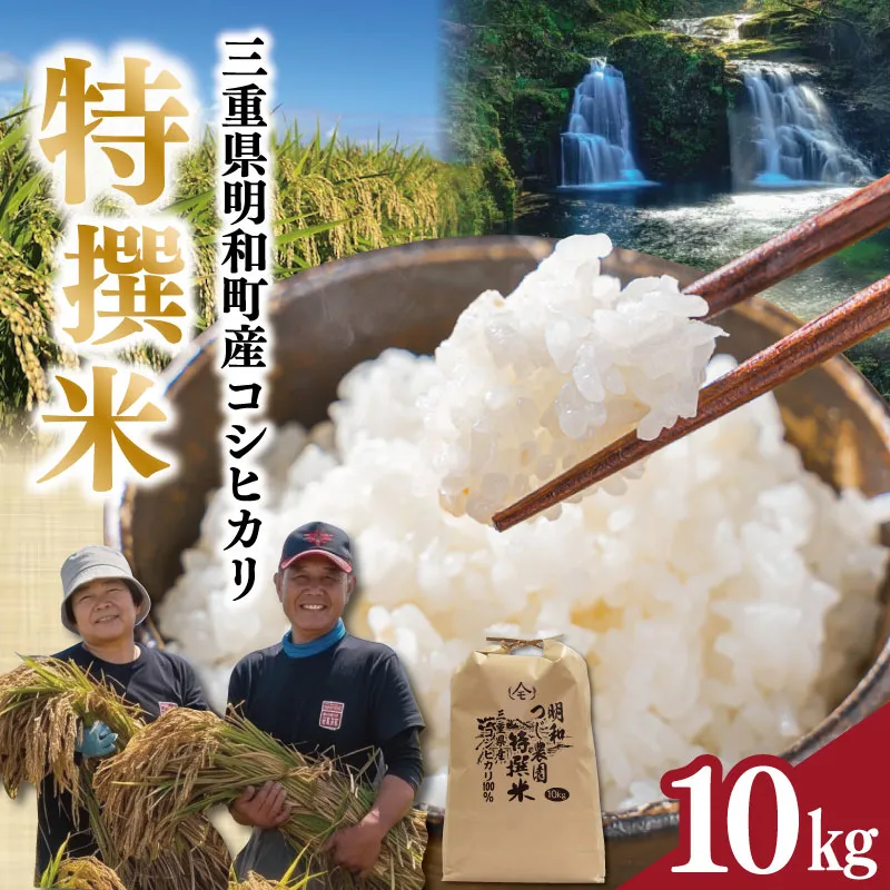 明和町産 こしひかり 特撰米 10kg 明和つじ農園 米 コメ こめ おこめ 三重米 お米 新米 白米 精米 ブランド米 国産 もちもち tn1
