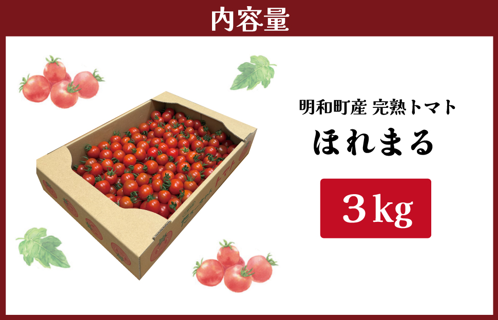 明和町産 完熟 トマト ほれまる 3kg ミニトマト 朝採り 新鮮 明和町産 完熟 トマト ほれまる 3kg ミニトマト 朝採り 新鮮